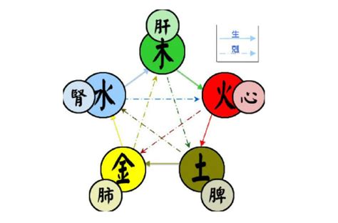 五行 木和金|五行（对万事万物的取象比类）